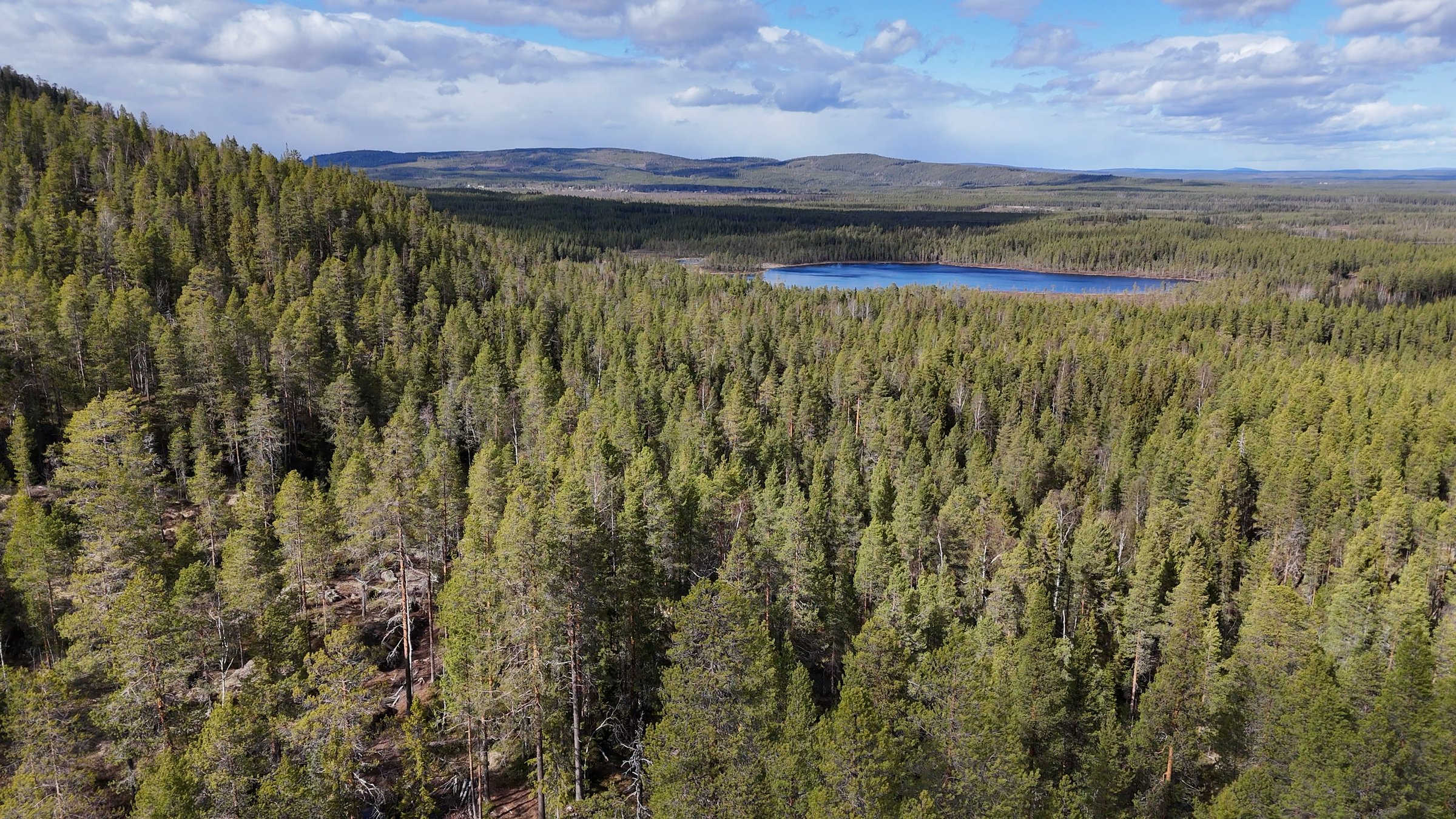 Landskapet vid Stortjärnhobben